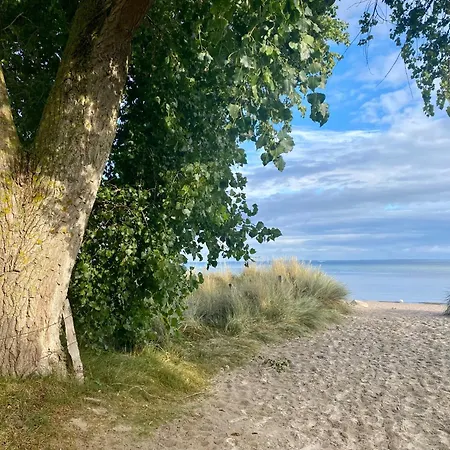 Suedstrand Haus 38 *
